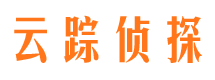 新兴市私家侦探